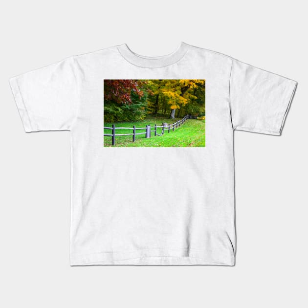 Colorful fall landscape Kids T-Shirt by Carlosr1946